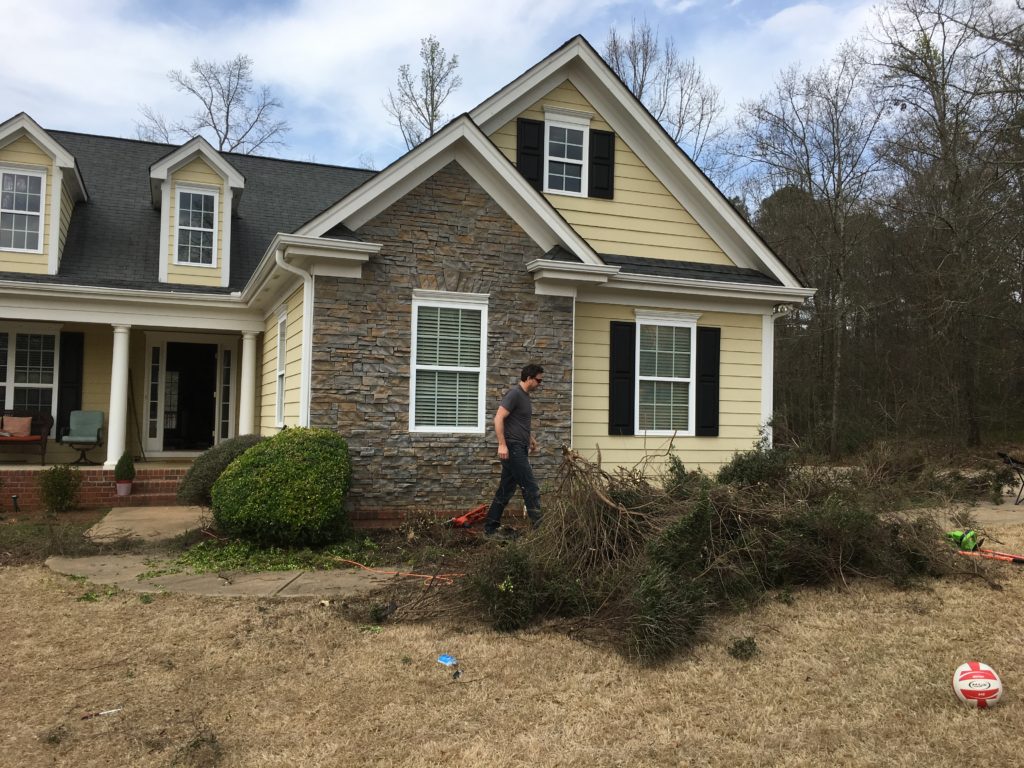 Removing builder grade landscaping at the Forest House, shrubs