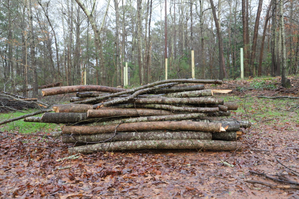 Logs piled up after cutting them down to make way for the vineyard.